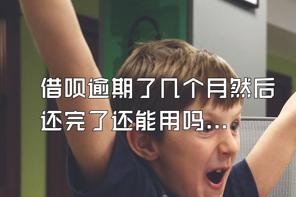 借呗逾期了几个月然后还完了还能用吗？逾期被起诉怎么办？