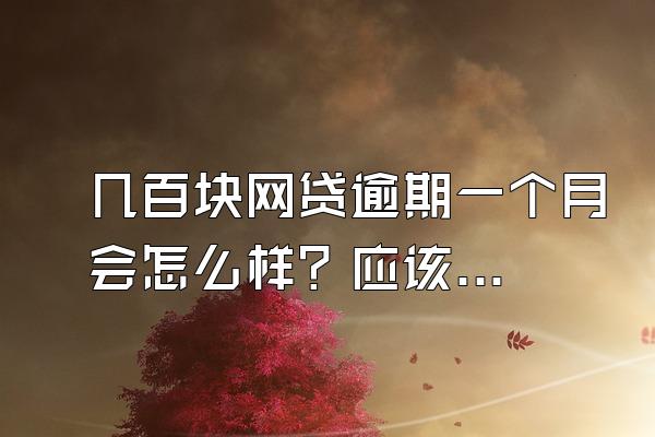 几百块网贷逾期一个月会怎么样？应该怎么办?