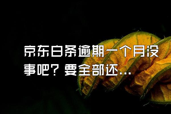 京东白条逾期一个月没事吧？要全部还清才能使用白条吗？