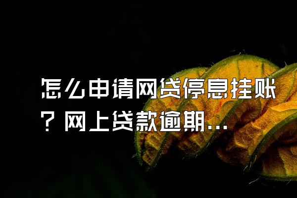 怎么申请网贷停息挂账？网上贷款逾期被起诉了会怎样？