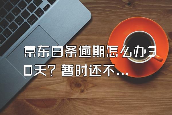 京东白条逾期怎么办30天？暂时还不上怎么办？