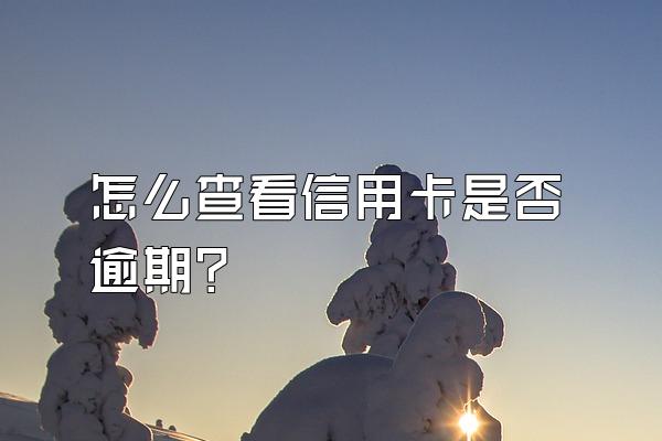 怎么查看信用卡是否逾期？