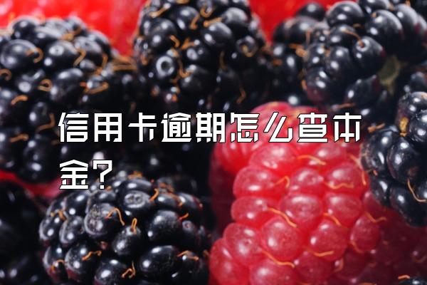 信用卡逾期怎么查本金？