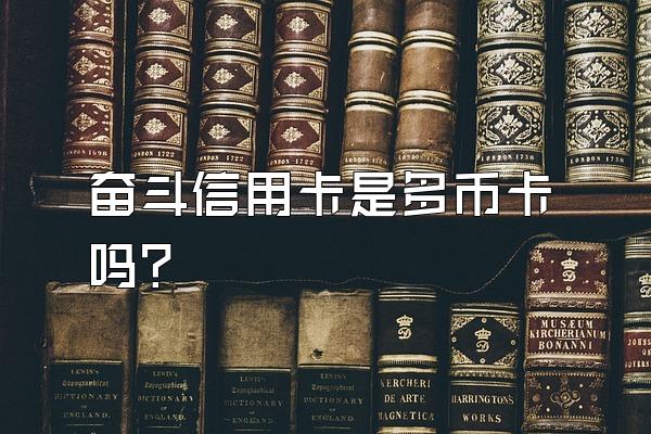 奋斗信用卡是多币卡吗？