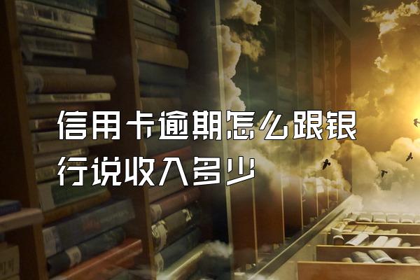 信用卡逾期怎么跟银行说收入多少