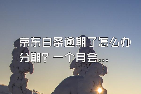 京东白条逾期了怎么办分期？一个月会怎么样？