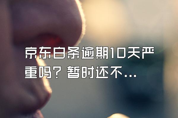 京东白条逾期10天严重吗？暂时还不上怎么办？