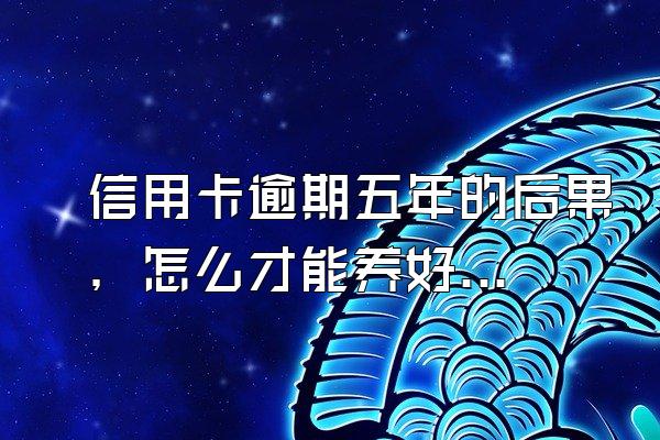 信用卡逾期五年的后果，怎么才能养好信用卡