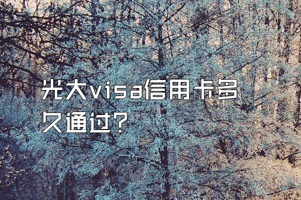 光大visa信用卡多久通过？