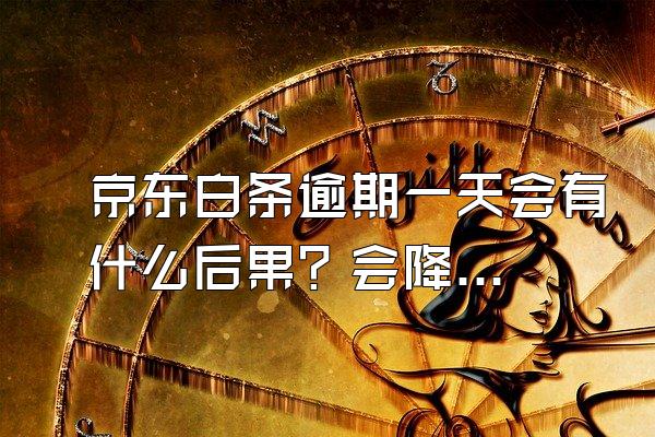 京东白条逾期一天会有什么后果？会降额度吗？