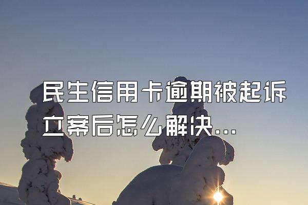 民生信用卡逾期被起诉立案后怎么解决？多久被起诉？