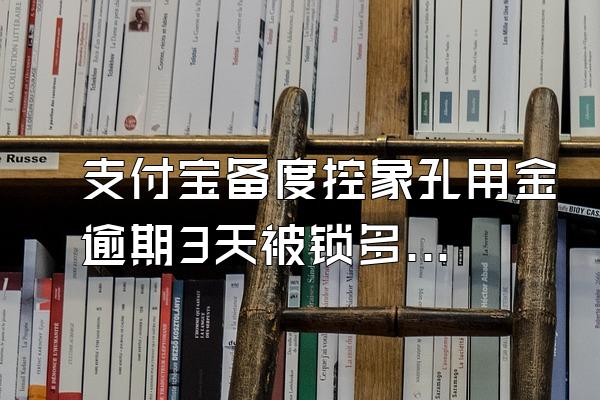 支付宝备度控象孔用金逾期3天被锁多久恢只型死复
