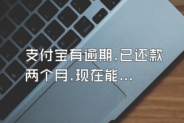 支付宝有逾期,已还款两个月,现在能扫码坐公交吗