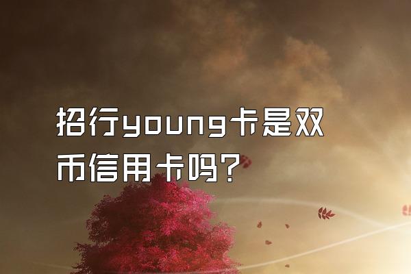 招行young卡是双币信用卡吗？