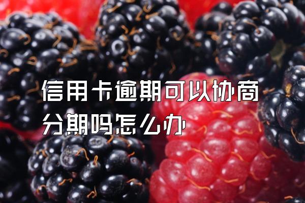 信用卡逾期可以协商分期吗怎么办