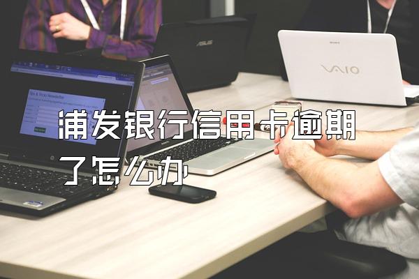 浦发银行信用卡逾期了怎么办