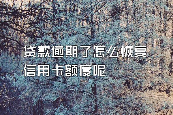 贷款逾期了怎么恢复信用卡额度呢