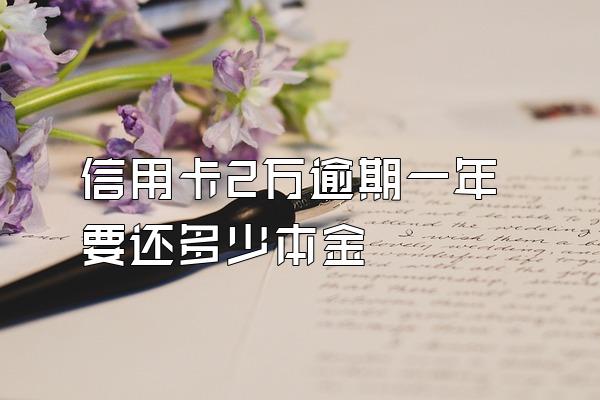信用卡2万逾期一年要还多少本金