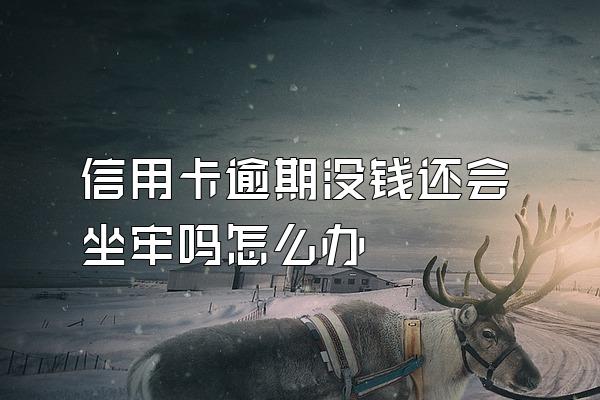 信用卡逾期没钱还会坐牢吗怎么办