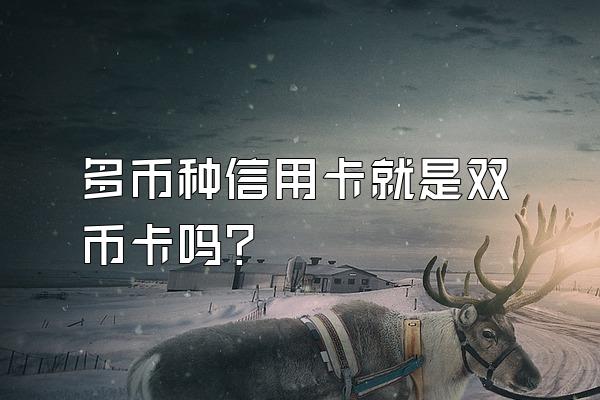 多币种信用卡就是双币卡吗？