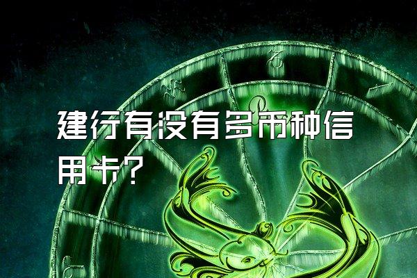 建行有没有多币种信用卡？