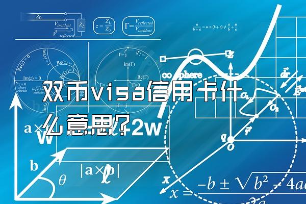 双币visa信用卡什么意思？