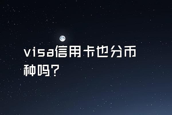 visa信用卡也分币种吗？