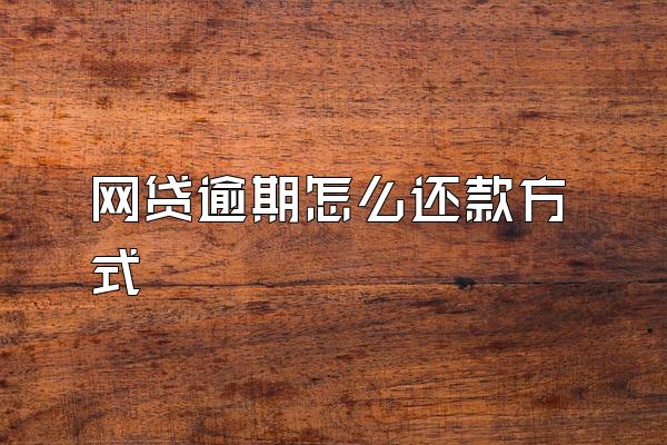 网贷逾期怎么还款方式