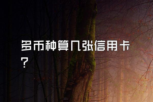 多币种算几张信用卡？