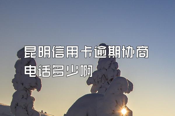 昆明信用卡逾期协商电话多少啊