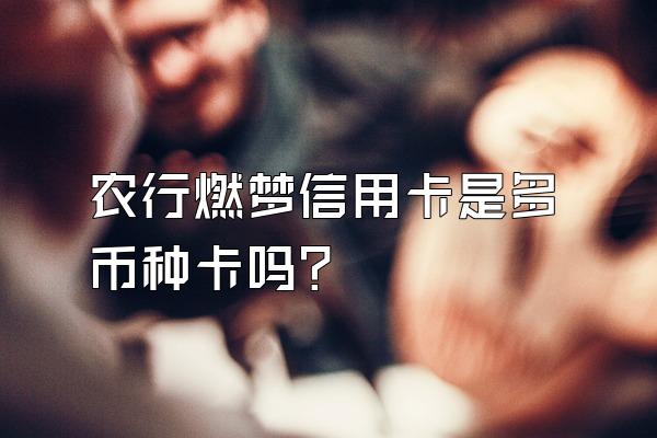 农行燃梦信用卡是多币种卡吗？