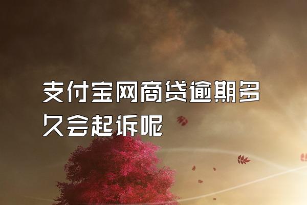 支付宝网商贷逾期多久会起诉呢