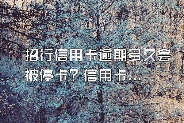 招行信用卡逾期多久会被停卡？信用卡被停卡后怎么办？