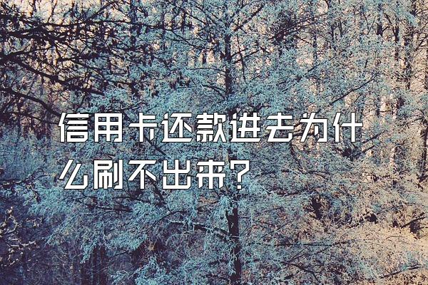 信用卡还款进去为什么刷不出来？