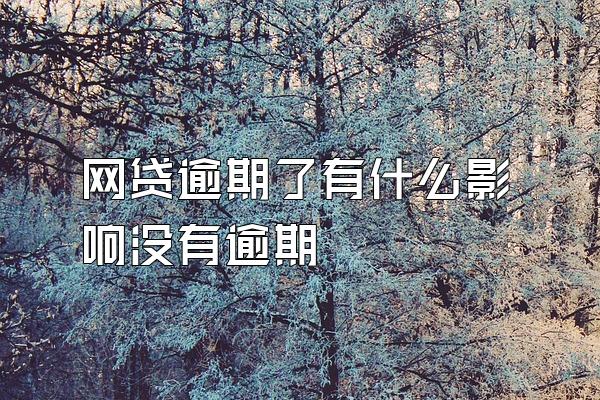 网贷逾期了有什么影响没有逾期