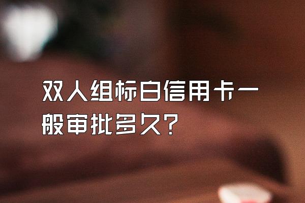 双人组标白信用卡一般审批多久？