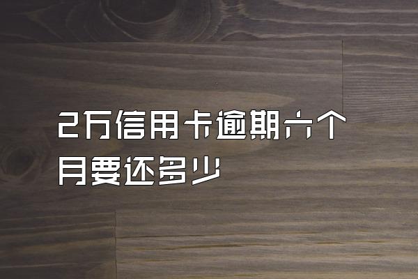 2万信用卡逾期六个月要还多少