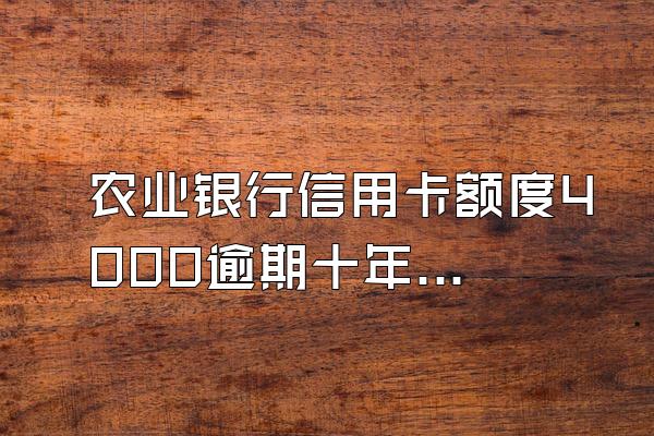 农业银行信用卡额度4000逾期十年怎么办