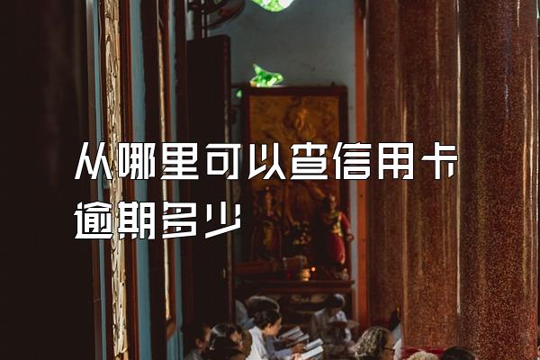 从哪里可以查信用卡逾期多少