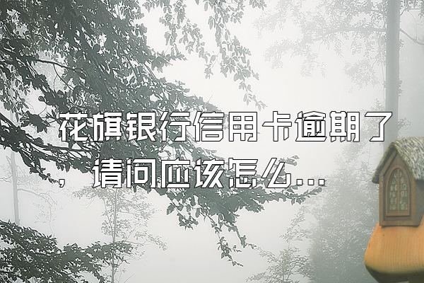 花旗银行信用卡逾期了，请问应该怎么办？