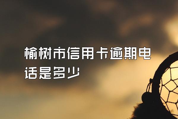 榆树市信用卡逾期电话是多少