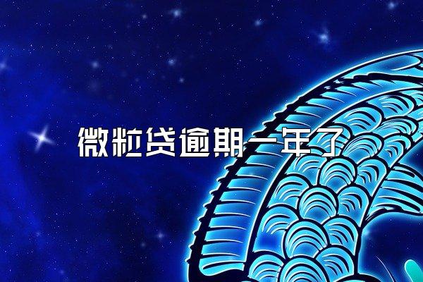 微粒贷逾期一年了