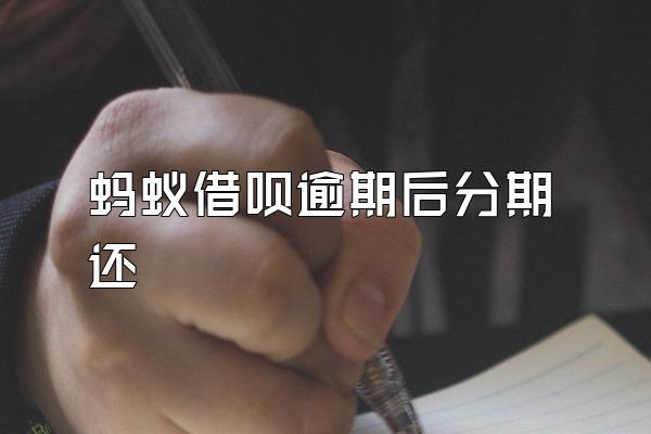 蚂蚁借呗逾期后分期还