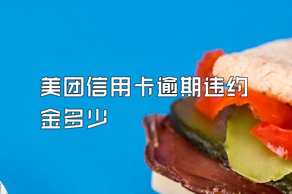 美团信用卡逾期违约金多少
