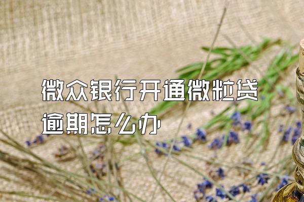 微众银行开通微粒贷逾期怎么办