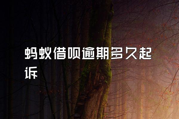 蚂蚁借呗逾期多久起诉