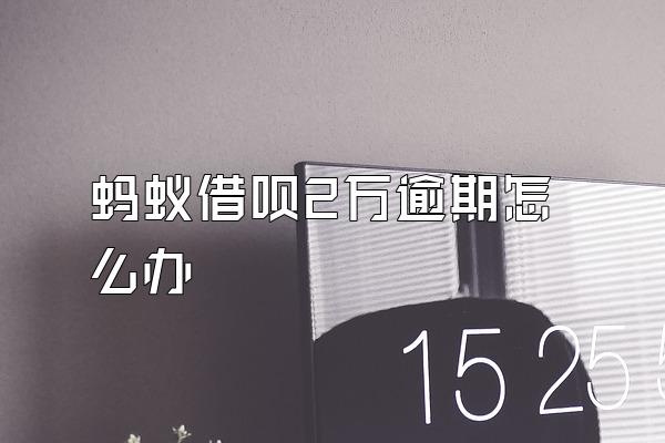 蚂蚁借呗2万逾期怎么办