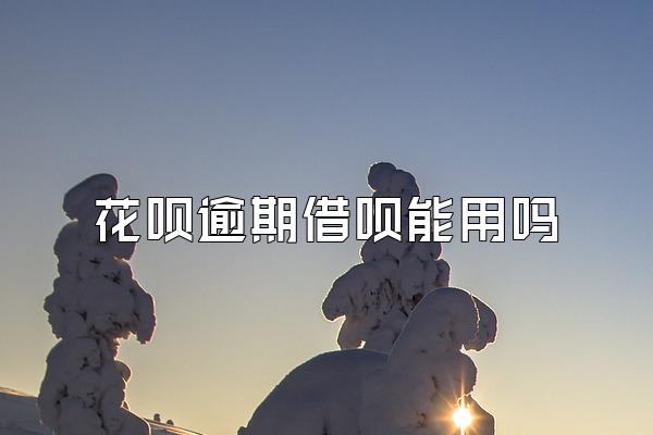 花呗逾期借呗能用吗