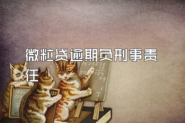 微粒贷逾期负刑事责任