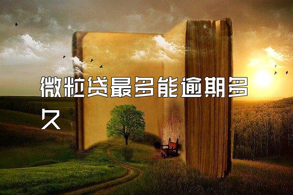 微粒贷最多能逾期多久